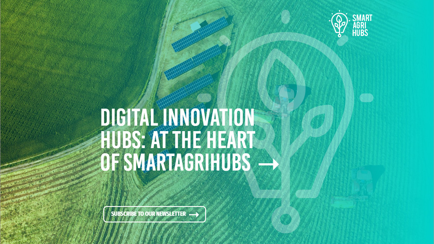 SmartAgriHubs Newsletter 9: July 2021. Digital Innovations Hubs: At the heart of SmartAgriHubs
