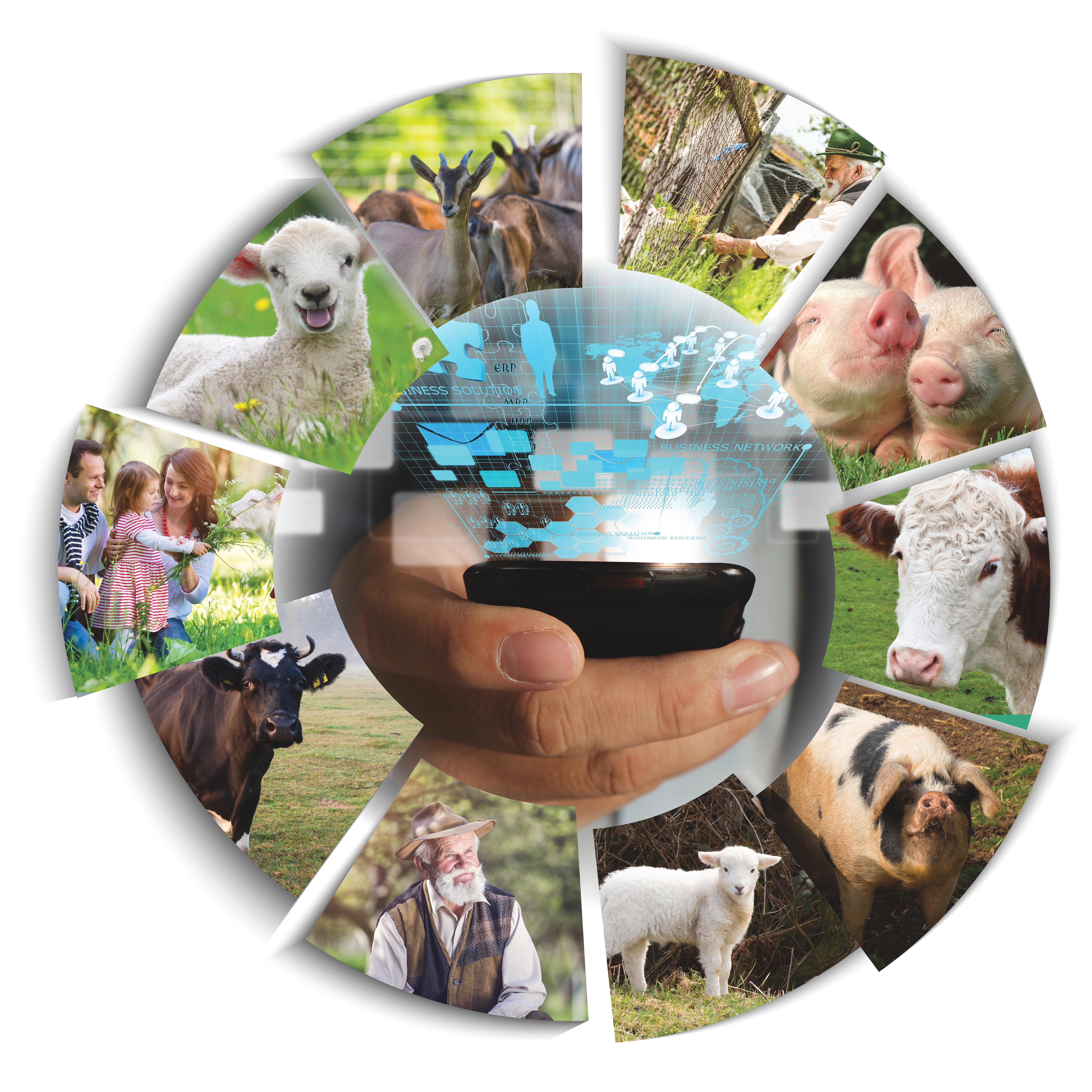 Tracking Animal Movements and Health Records | SmartAgriHubs Tracking Animal Movements and Health Records | SmartAgriHubs