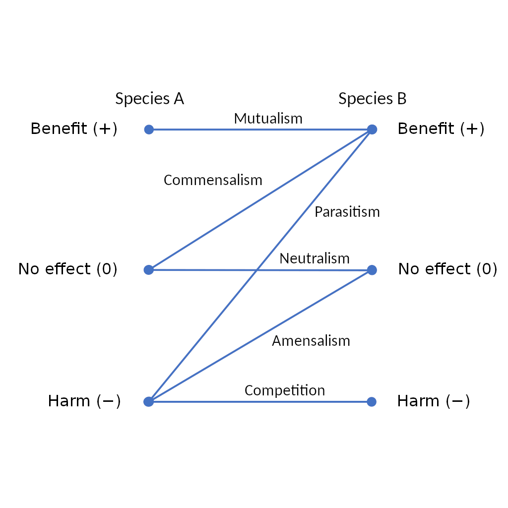 Figure: Symbiosis, by Ian Alexander - Own work, CC BY-SA 4.0, https://commons.wikimedia.org/w/index.php?curid=71067142